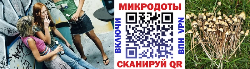 Псилоцибиновые грибы Cubensis  Микунь 